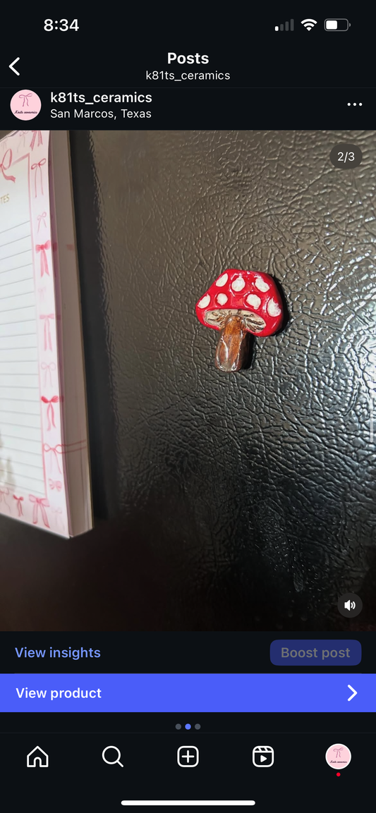Mushroom magnet